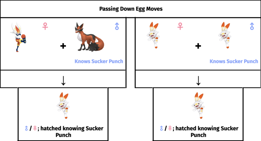 Passing down egg moves