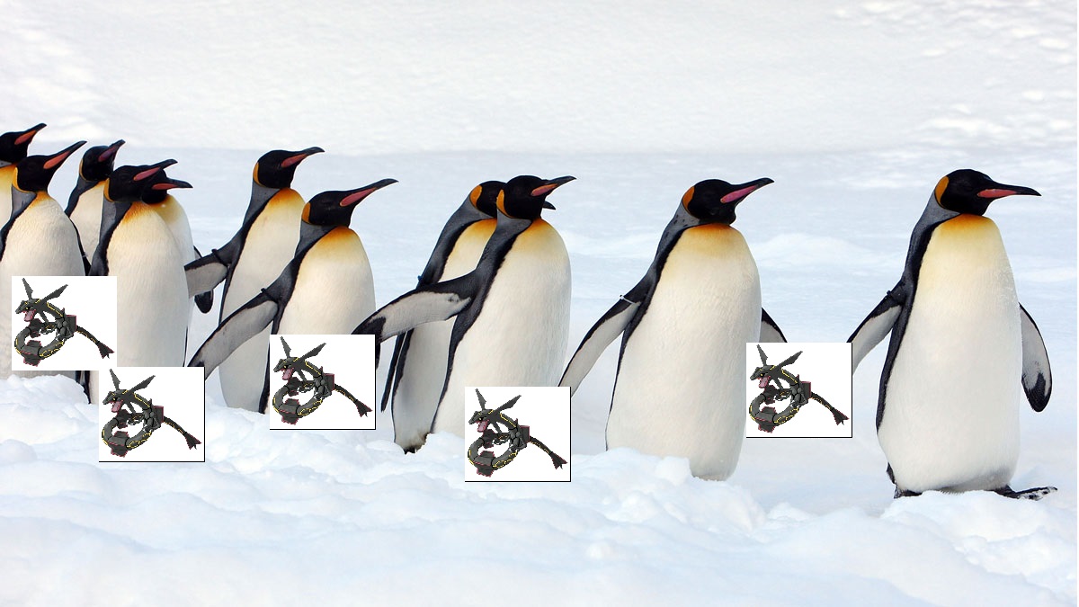 160225-penguins.jpg