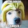 King doggo.jpg
