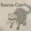 rescue_cats.jpg