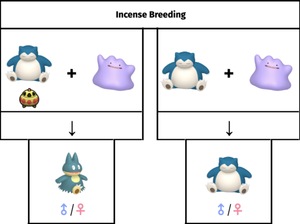 A parent holding an incense is required to breed baby Pokemon